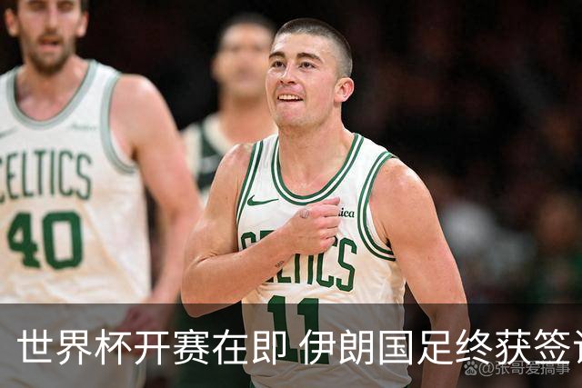世界杯开赛在即 伊朗国足终获签证