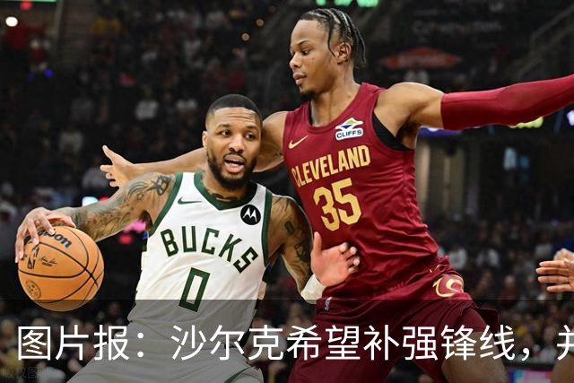 图片报：沙尔克希望补强锋线，并为40岁哲科提供了续约合同