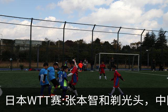 日本WTT赛:张本智和剃光头，中国男单接连爆冷，向鹏终于扛住了