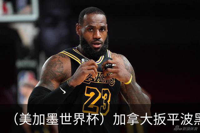 （美加墨世界杯）加拿大扳平波黑 获队史世界杯首分
